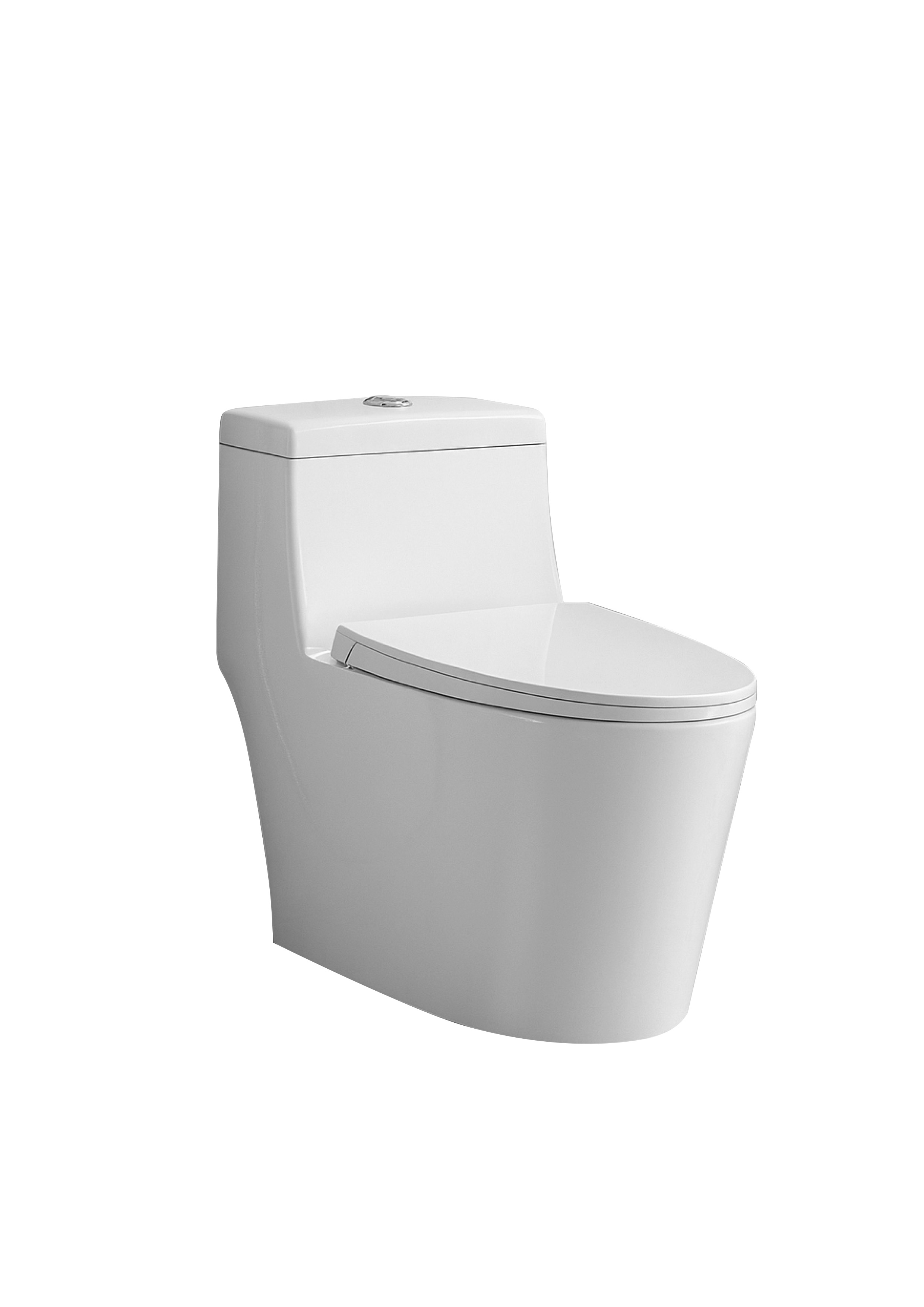 ROSALINE RIMLESS ONE PIECED